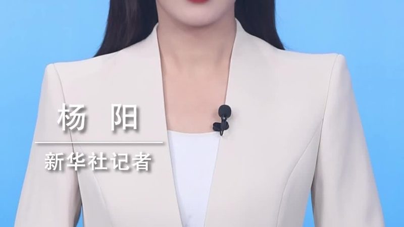 揭秘互联网技术解决方案供应商：品牌对比背后的逻辑